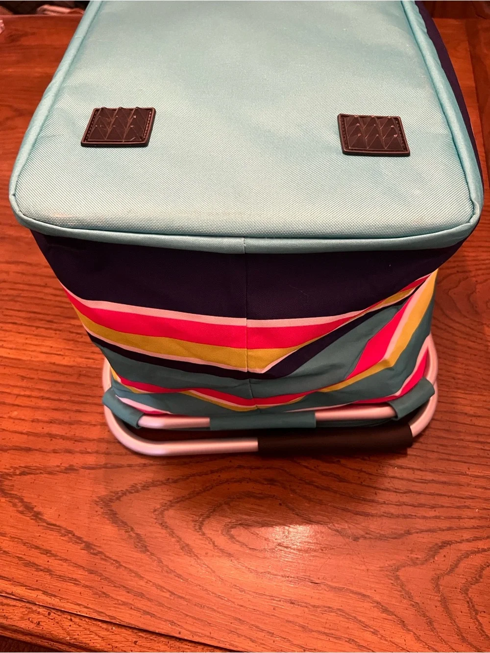 Tupperware Insulated Turquoise Picnic Basket with Watermelon Accent